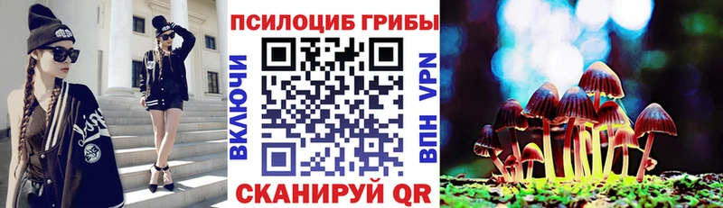 Галлюциногенные грибы Psilocybe Шагонар